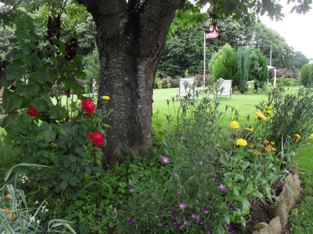 La Chevallerie B&B Isigny-le-Buat 외부 사진