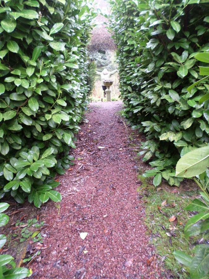 La Chevallerie B&B Isigny-le-Buat 외부 사진