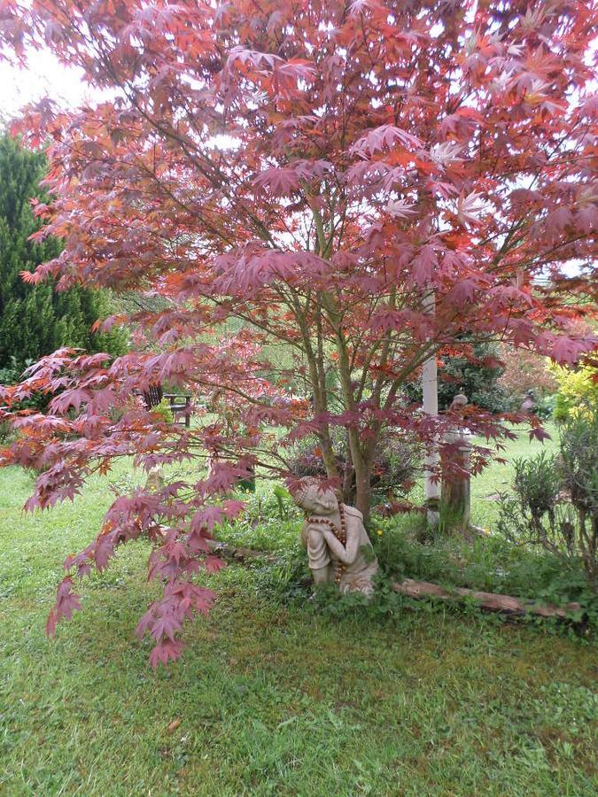 La Chevallerie B&B Isigny-le-Buat 외부 사진